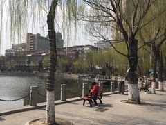 -文瀛公园