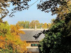 -灵谷景区