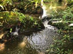 -绿光森林餐厅