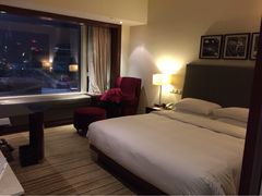 凯悦酒店(尖沙咀店)-香港尖沙咀凯悦酒店