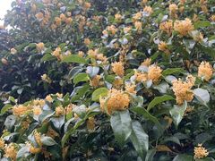 -敬亭山风景名胜区