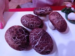 蘑菇包-顺悦酒家(嘉信城市广场店)