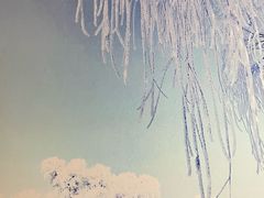 -雾凇岛