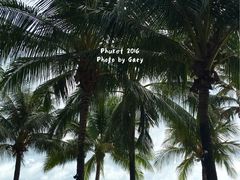 -椰树岛海滩度假村