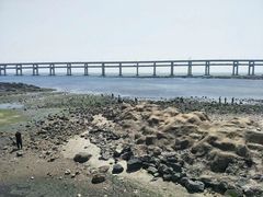 -黑石礁公园