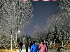 -回龙观体育文化公园