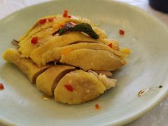 特色白切草母鸡-新名仕新白玉兰餐厅