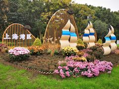 -上海共青森林公园