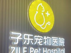 -子乐宠物医院