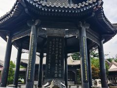 -静园(和平区)