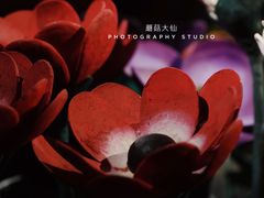 -Nathalie Djurberg与Hans Berg“牛皮纸包裹的月亮”-Prada荣宅当季展览