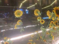-巴盟人家·内蒙地方菜(华丽家族店)