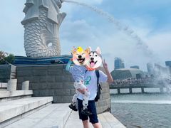 -鱼尾狮公园