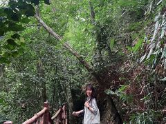 -海南热带雨林国家公园吊罗山景区