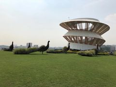 -光明小镇欢乐田园