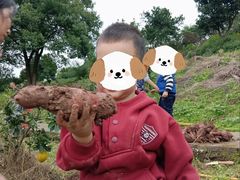 -宾果蒙特梭利托育儿童之家幼儿园(爱琴海店)