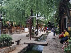 -正宗李家土鸡米线店