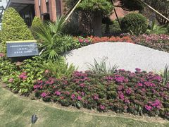 -上海交通大学医学院附属瑞金医院(总院)