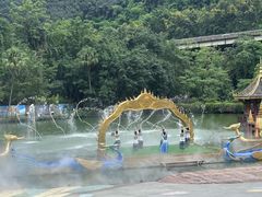 -西双版纳原始森林公园