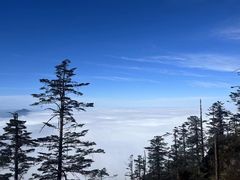 -瓦屋山景区