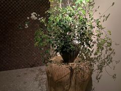 -隐溪茶馆(静安寺店)
