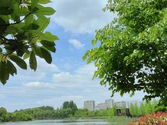 -昆山城市生态森林公园