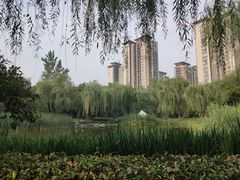 -木塔寺遗址生态公园