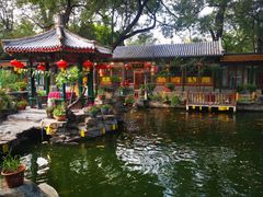 -白家大院·王府宫廷菜(苏州街店)
