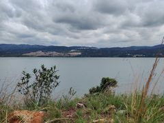 -阳宗海湿地