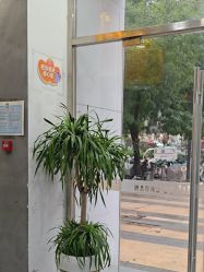 -古川造型