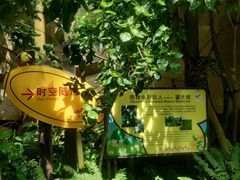 -南山植物园