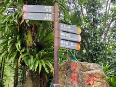 -深圳仙湖植物园