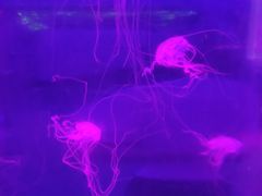 -万达广场(芜湖镜湖店)