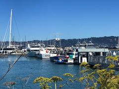 -香港东海海鲜酒家