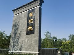 -莲花池公园