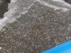 -五龙源极限漂流