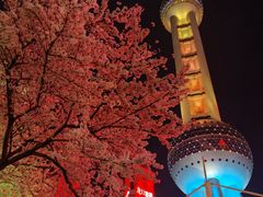 -东方明珠广播电视塔