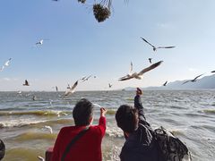 -滇池海埂公园