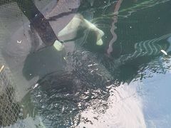 -蓝湾碧波·老字号·疍家非遗海上餐厅