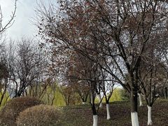 -长安大学(北校区)