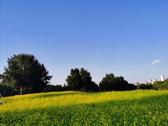 -长白岛森林公园