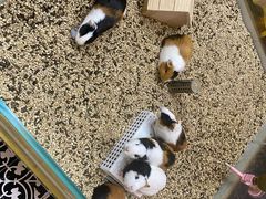 -大连凯丹广场