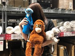 -宜家家居(西安未央商场店)