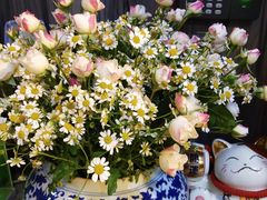 -严国平动物医院(德政总院)