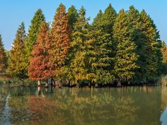 -白塘生态植物园