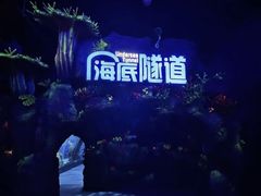 -合肥海洋世界