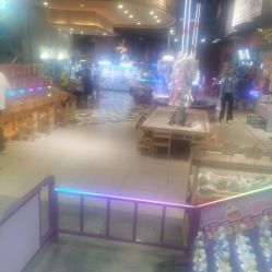 -卡通尼·Safari非洲探索乐园·生日会(金桥国际商业广场店)