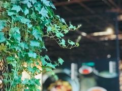 -禾珍珠家常小馆(河南博物院店)