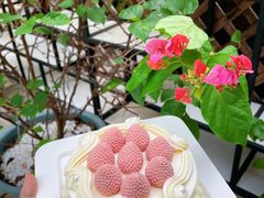 -壹点壹客·生日蛋糕(南山店)