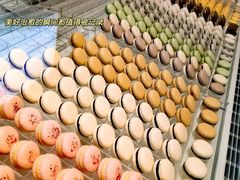 -BLACKSWAN黑天鹅(新希望店)